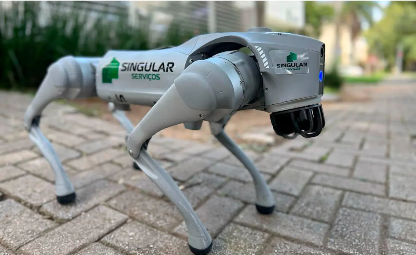 Cão de guarda diferente: condomínio de Curitiba tem cão-robô cuidando da vigilância